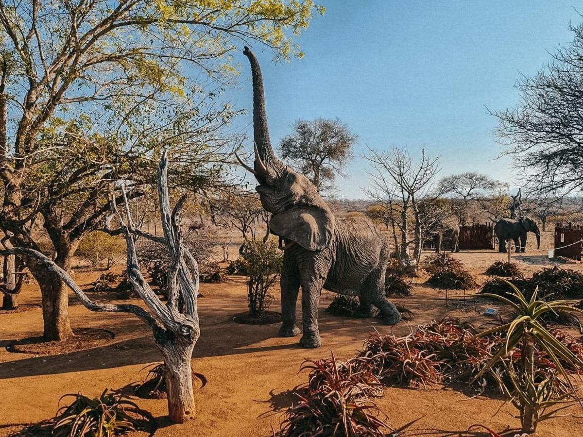 Tshukudu Game Lodge Hoedspruit Eksteriør bilde