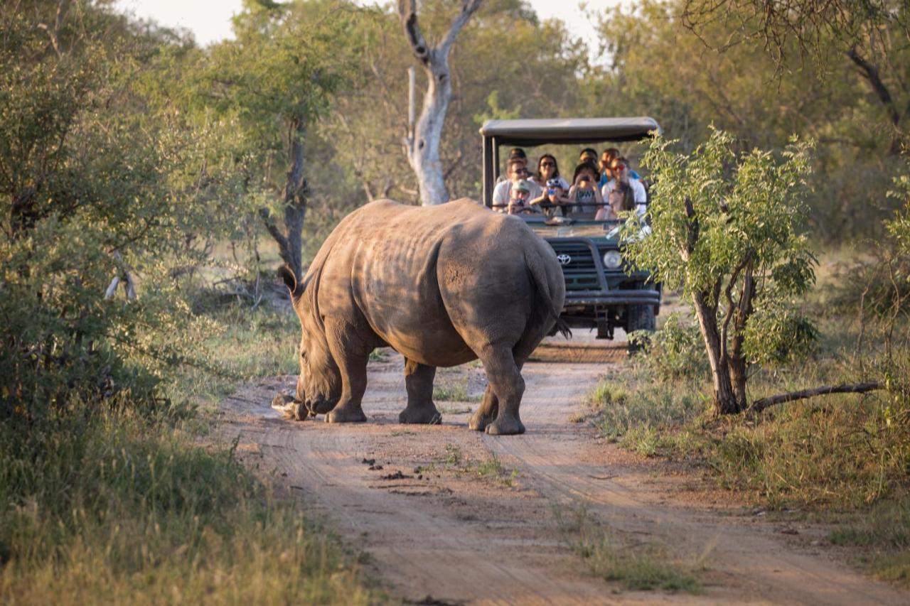 Tshukudu Game Lodge Hoedspruit Eksteriør bilde